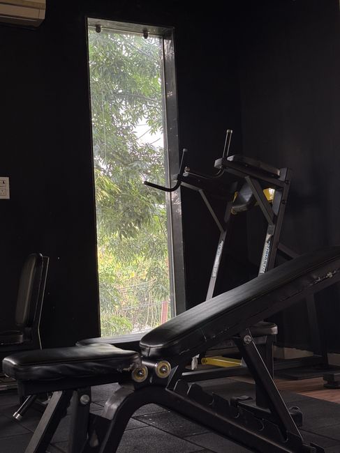Incline chest press machine positioned beside window with tree canopy view at Tathhastu Fitness