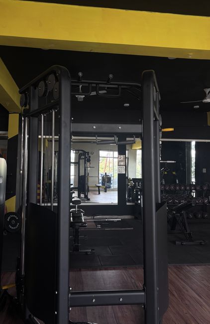 Multi-station cable jungle rig with lat pulldown and seated cable row at Tathhastu Fitness